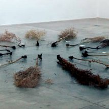 Christine Mackey: Seed Matter | Limerick City Gallery 
Pery Square, Limerick | Thursday 24 January to Friday 15 March 2013 | to 