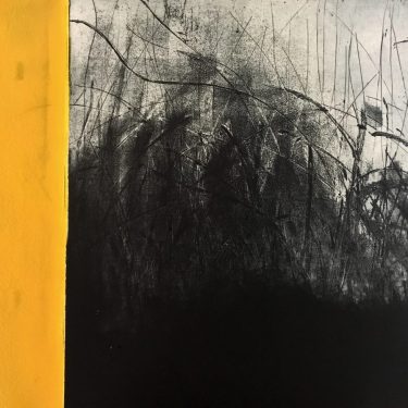 The New State: Contemporary Etching in Ireland | Graphic Studio Gallery 
off Cope Street Temple Bar, Dublin 2 | Friday 15 March to Saturday 6 April 2019 | to 