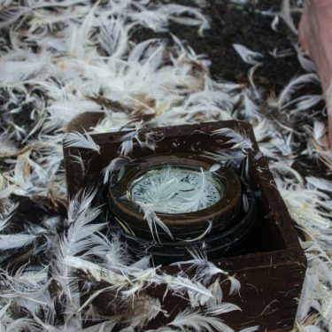 Wild Swans Performance Art: A Pound of Feathers | Regional Cultural Centre 
Port Road, Letterkenny Co. Donegal | Sunday 8 May to Sunday 5 June 2022 | to 