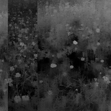 BOKEH: Exhibition of Contemporary Photography | SO Fine Art Editions 
Powerscourt Townhouse Dublin 2 | Saturday 13 July to Saturday 17 August 2024 | to 