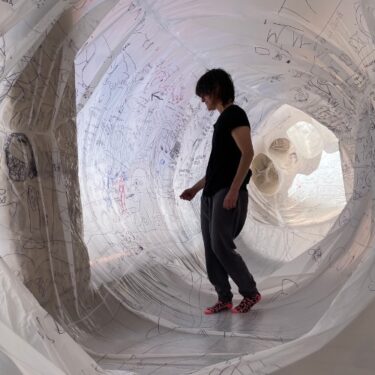 Olga Diego: Metamorphosis | Newman Builiding University College Dublin Dublin 4 | Monday 6 October to Friday 10 October 2025 | to 