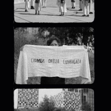 Ana Bravo-Pérez: If we remain silent | Limerick City Gallery 
 Pery Square, Limerick | to Sunday 26 October | to 2025-10-26