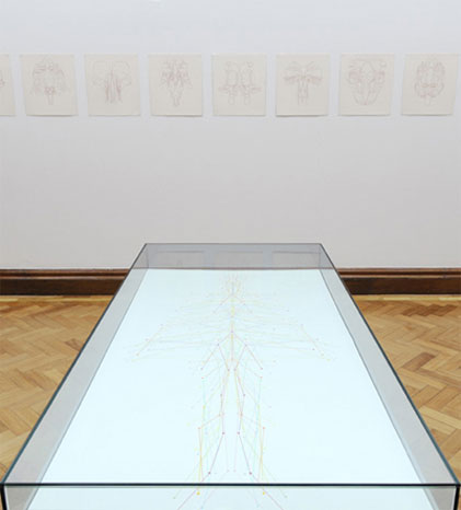 Installation view of Hybrid series and circuit at Dublin City Gallery The Hugh Lane | Ronnie Hughes: Hybrid Cabinet | Thursday 5 August – Sunday 24 October 2010 | 